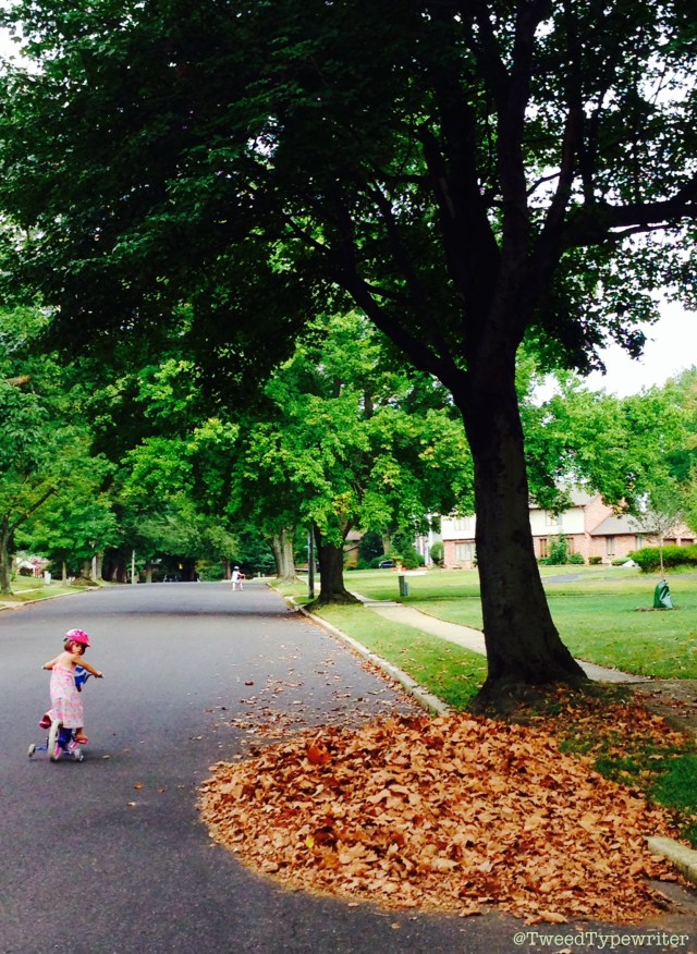 AUTUMNA NON GRATA - (Photo - PaC)