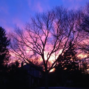 IMG_4011 - Version 2