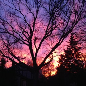 IMG_4014 - Version 2