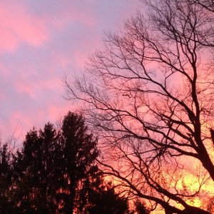 IMG_4015 - Version 2