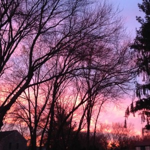 IMG_4020 - Version 2