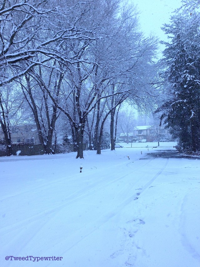 scoop_drivewaypic_edit